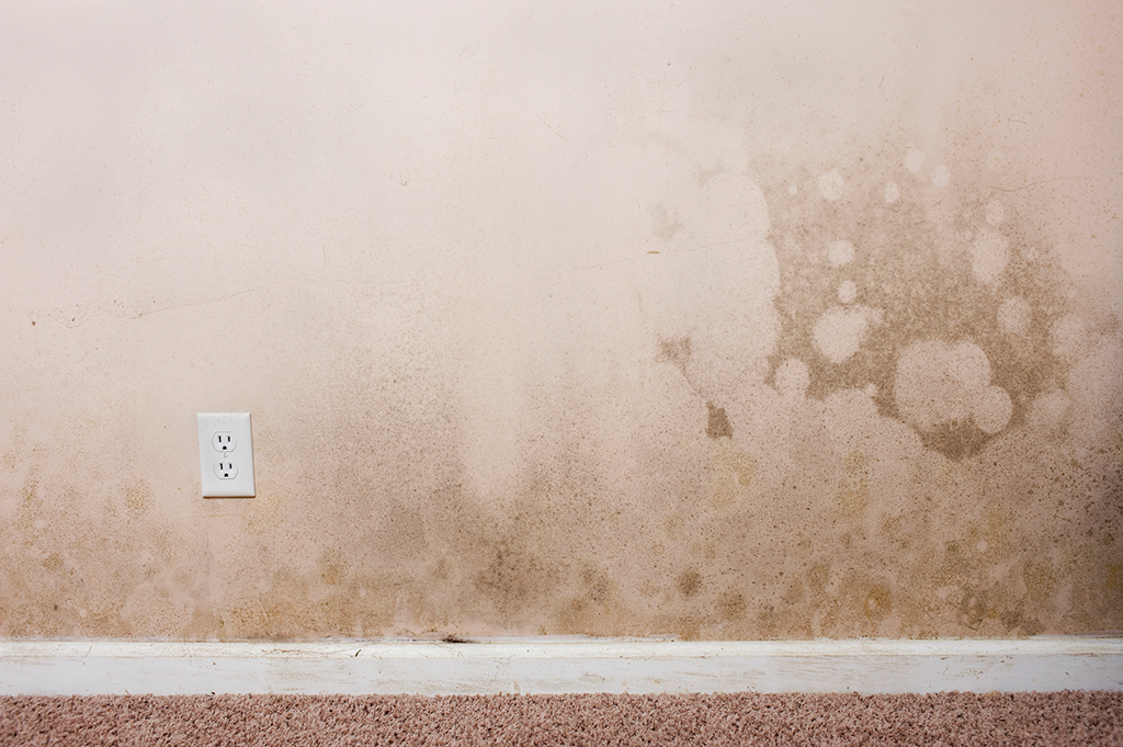 Dealing With Water In Electrical Sockets: Emergency Electrician | Myrtle Beach, SC