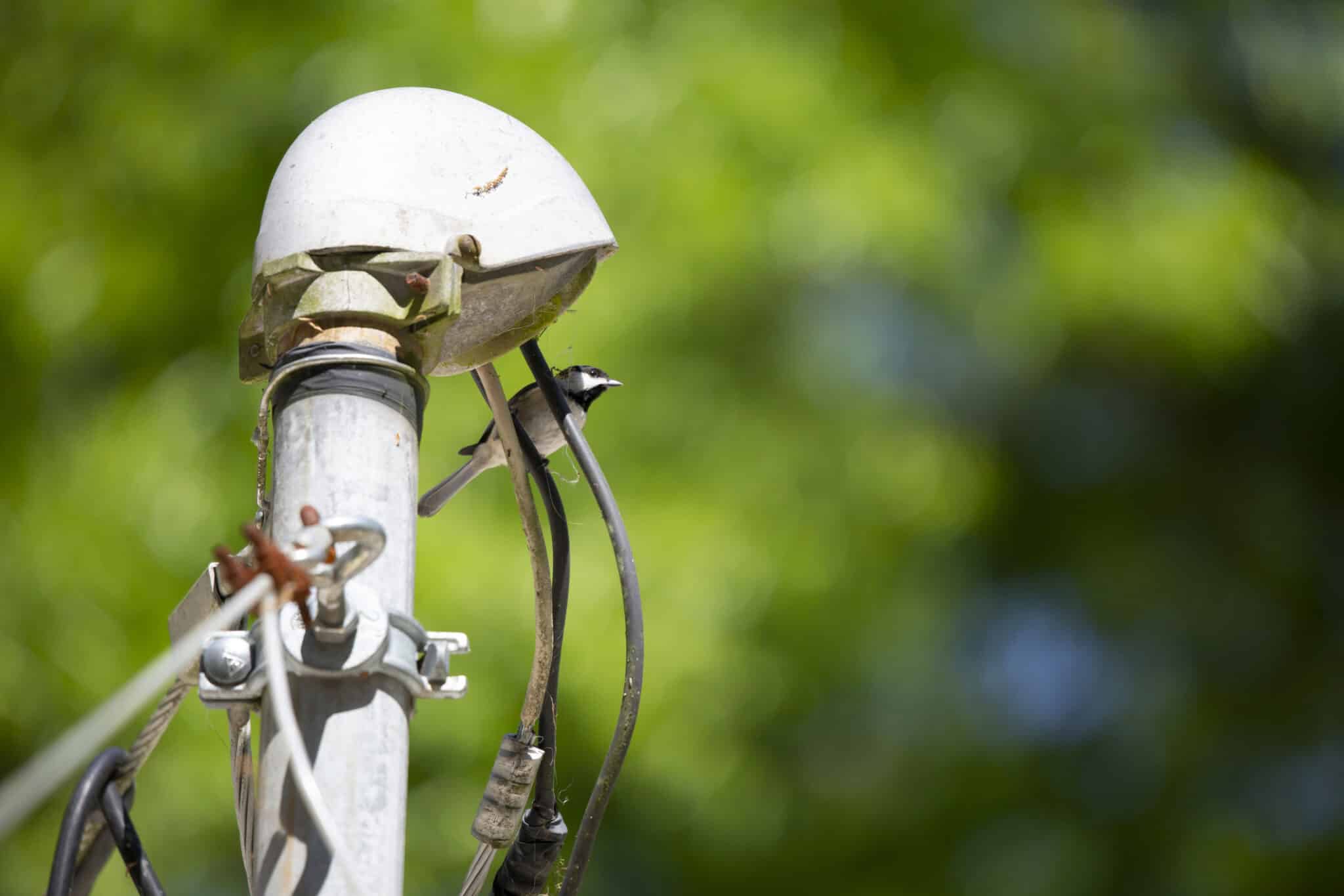 Service mast repair.